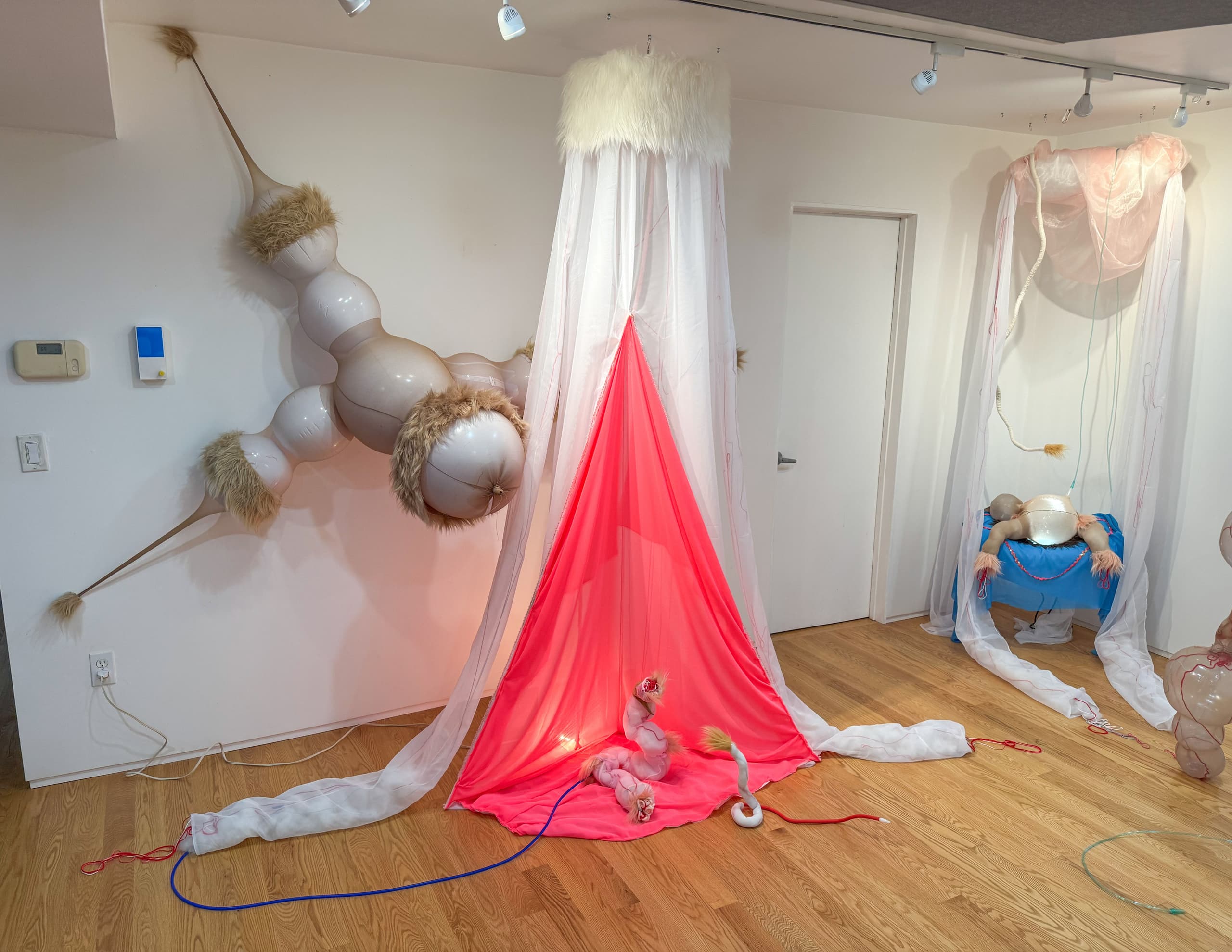 Neonatal Boudoir, 2025